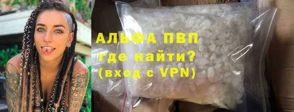 стаф Абинск