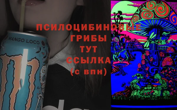 СК Абаза