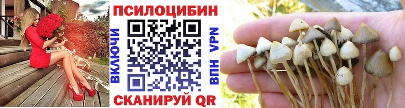 Псилоцибиновые грибы Psilocybe  наркошоп  Абдулино 